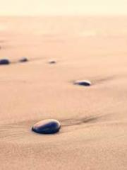 Reborn in the Apocal