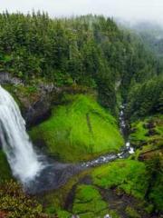 Rebirth of the Super