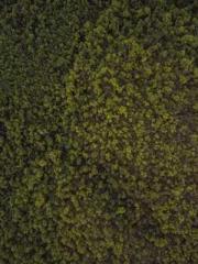 Grave Robbing: Openi