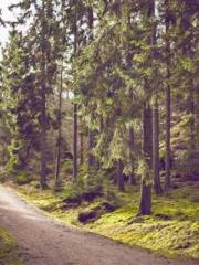 The Realm of the Dao