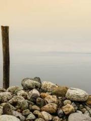 Saintly Gate Venerab