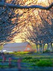 lt;lt;The Heavenly D