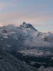 One Night Marriage P