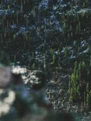 lt;Marry at first si