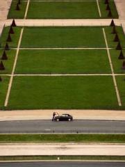 Mr. Gu, your wife is