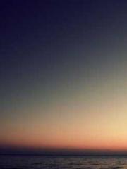 Shocking! This prota