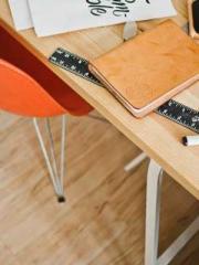 The Ugly Womanapos;s