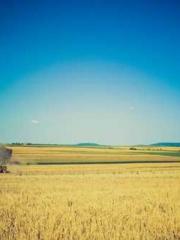 Become a big shot in