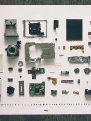 The Realm of the Dao