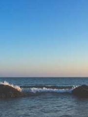 lt;Natural Disasters