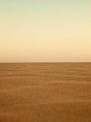 lt;lt;lt;lt;Yearning