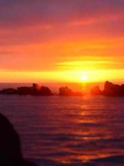 lt;Diga: From Jetton