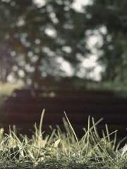 Bodhisattva of Compa