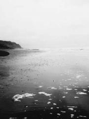 Professor Yan is goi