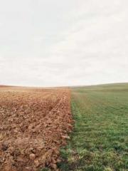 My Amazing Female Te