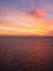 One Pregnancy, Two B