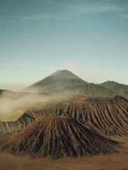 Li Qingqing and Zhao