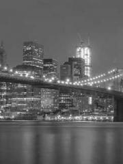 The Imperial Concubi