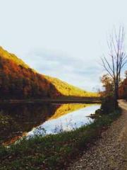 Dangerously Close to