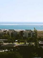 I Picked Up a Cultiv