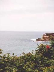 A-SOULapos;s Hoshima