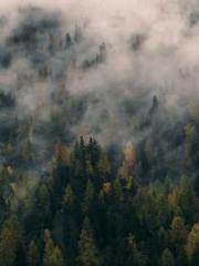 lt;lt;lt;lt;Yearning