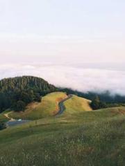 The Favorite Concubi