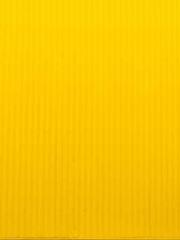 My Amazing Female Te