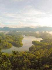 Rong Zhao Nanning Yu