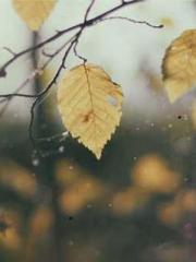 Shocking! This prota